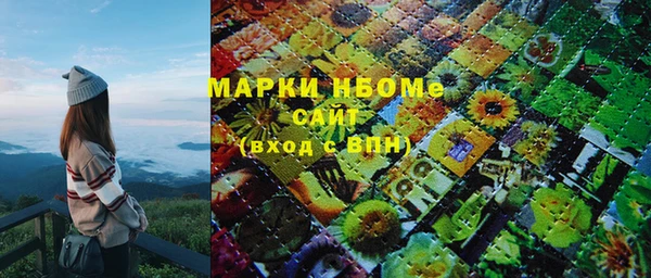 шишки Богородицк