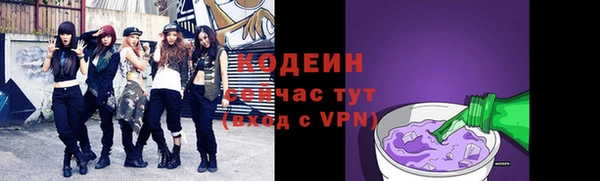 шишки Богородицк
