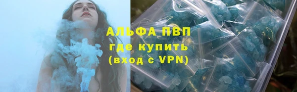 шишки Богородицк