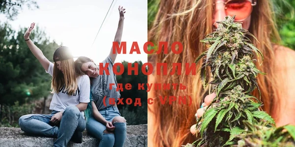 ПСИЛОЦИБИНОВЫЕ ГРИБЫ Богданович