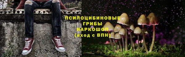 ПСИЛОЦИБИНОВЫЕ ГРИБЫ Богданович
