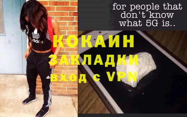 шишки Богородицк