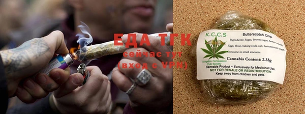 хмурый Губаха