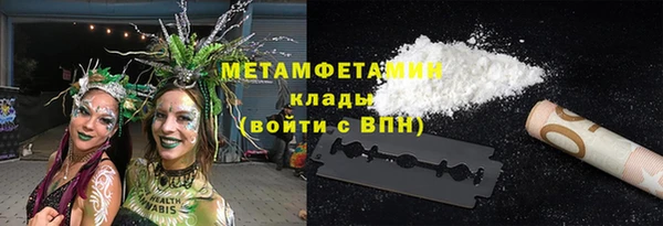ПСИЛОЦИБИНОВЫЕ ГРИБЫ Богданович