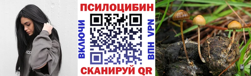 omg вход  Облучье  Галлюциногенные грибы MAGIC MUSHROOMS 